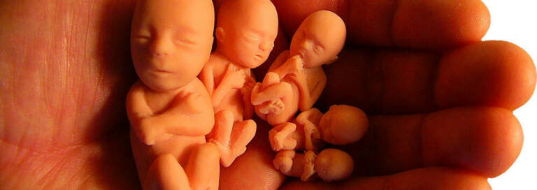Argumentos científicos en contra del aborto