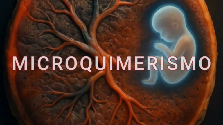 Células Eternas: el descubrimiento científico que une para siempre a madre e hijo