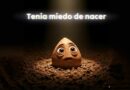 semilla con miedo a florecer